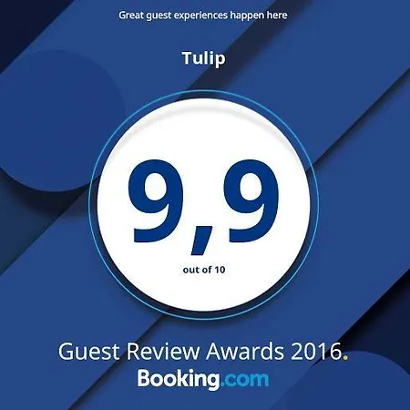 Tulip * Sarajevo